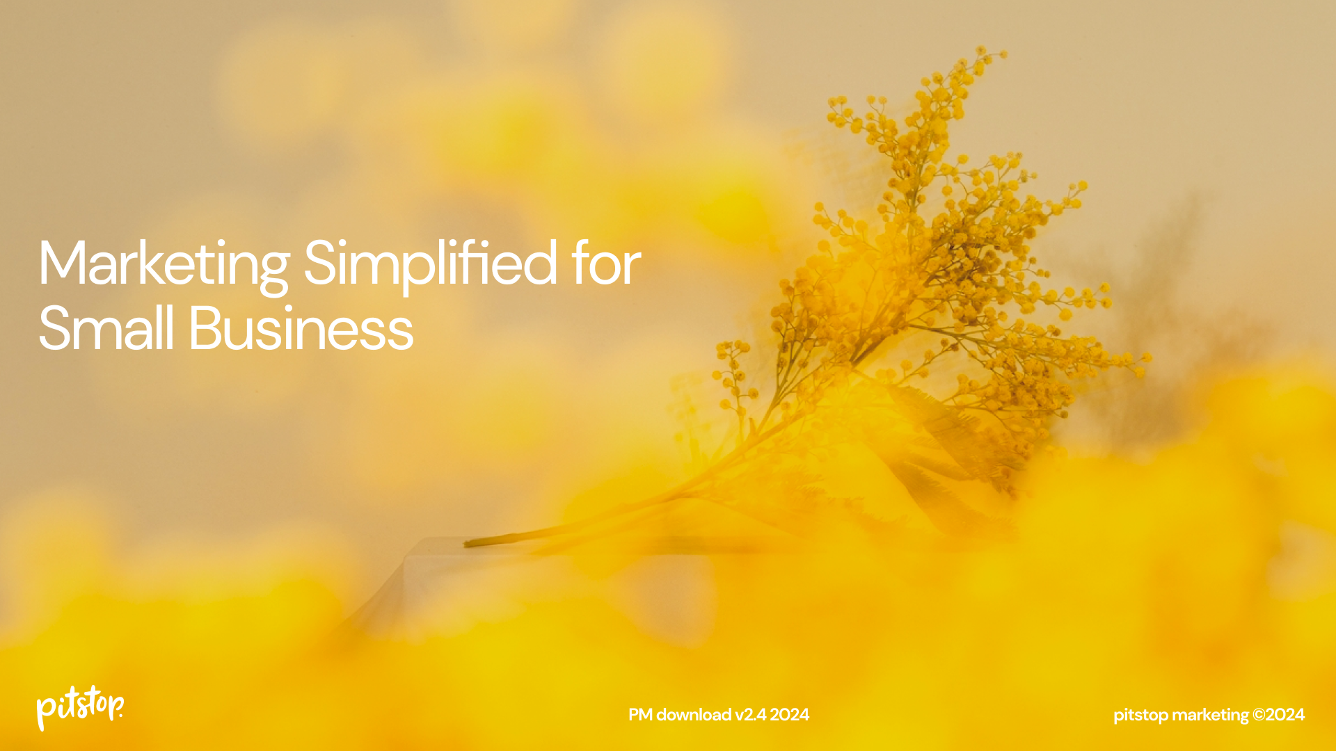 Marketing Simplified for  Small Business