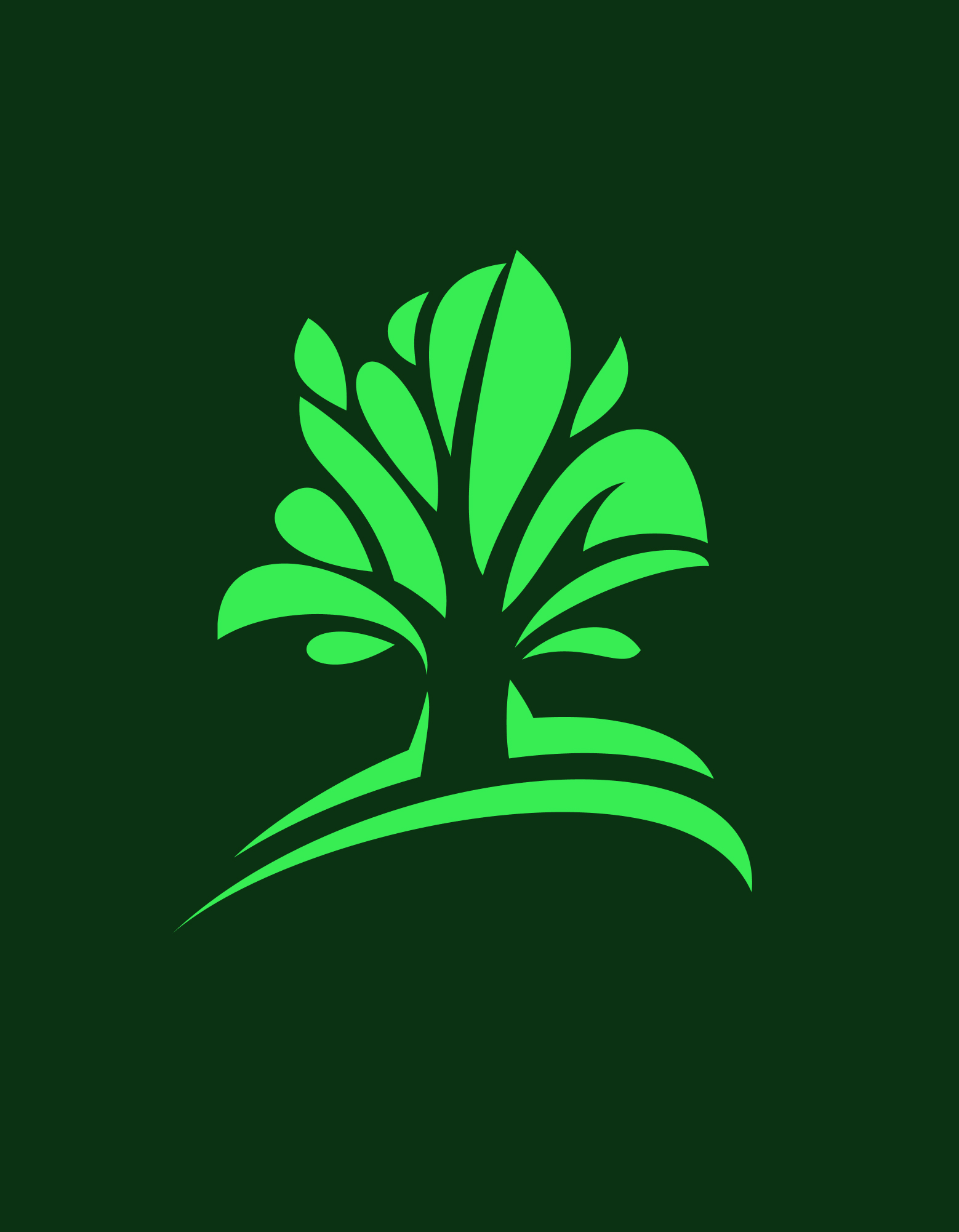 Adelaide Hills Tree Services Logo Adelaide Hills Tree Services Logo