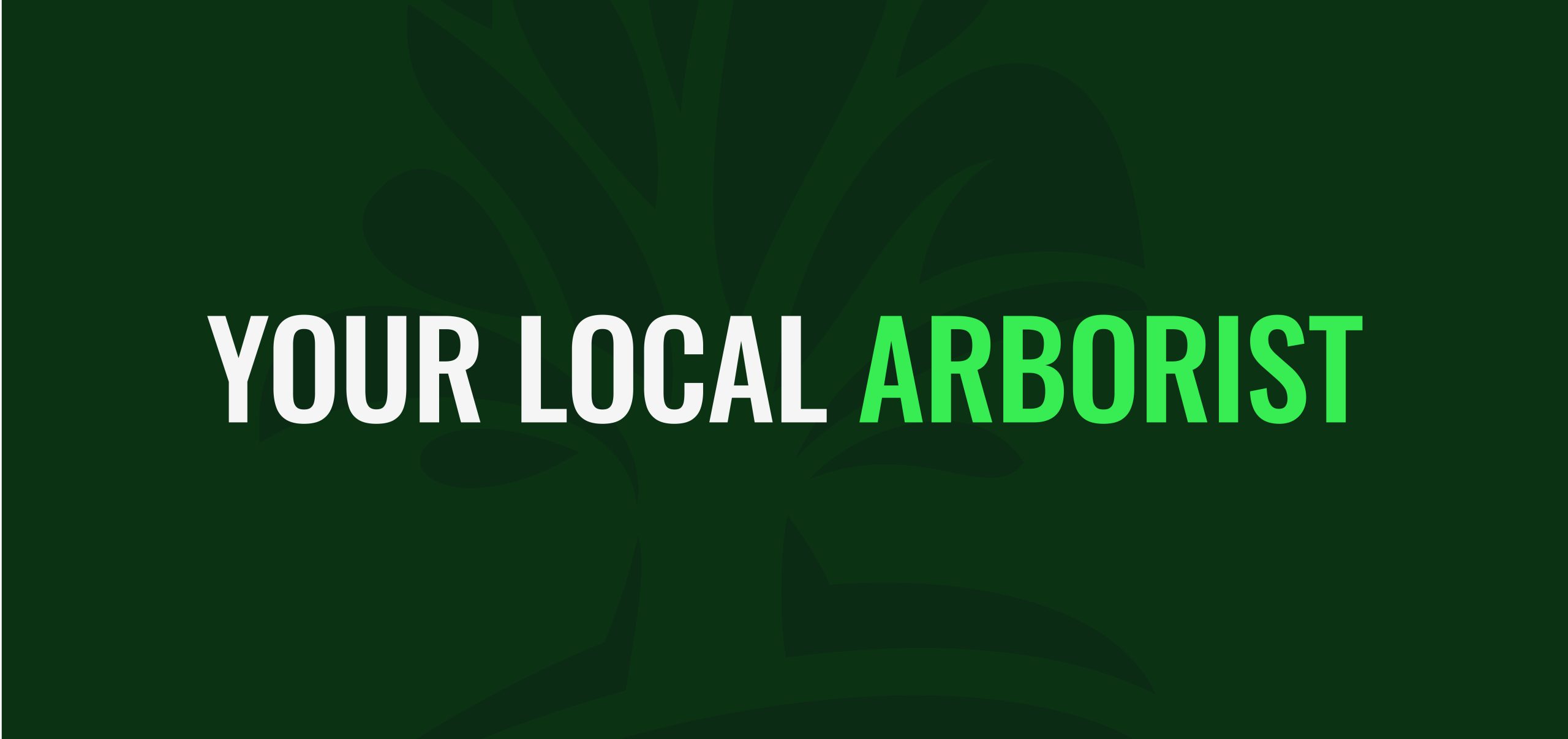 Adelaide Hills Tree Services Logo Your local arborist<br />